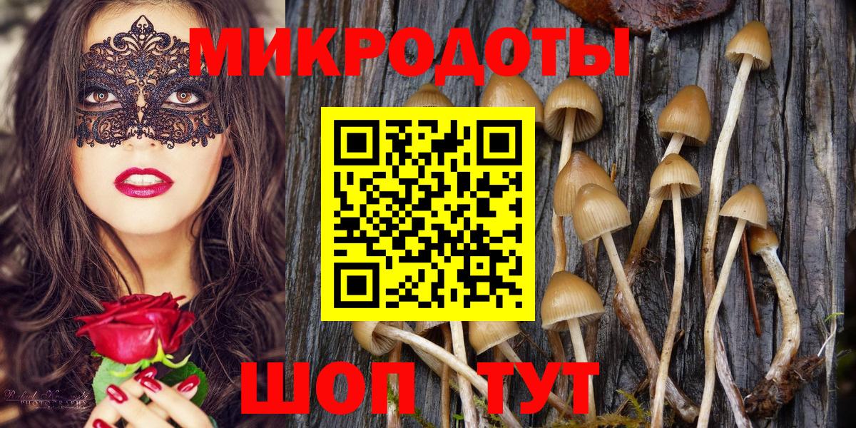 Псилоцибиновые грибы мицелий  Вход с VPN  Унеча  Галлюциногенные грибы Psilocybine cubensis 